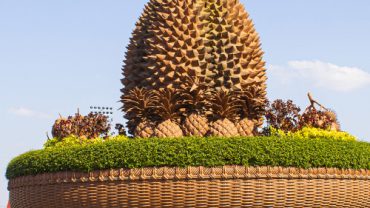 City Spotlight: KAMPOT​