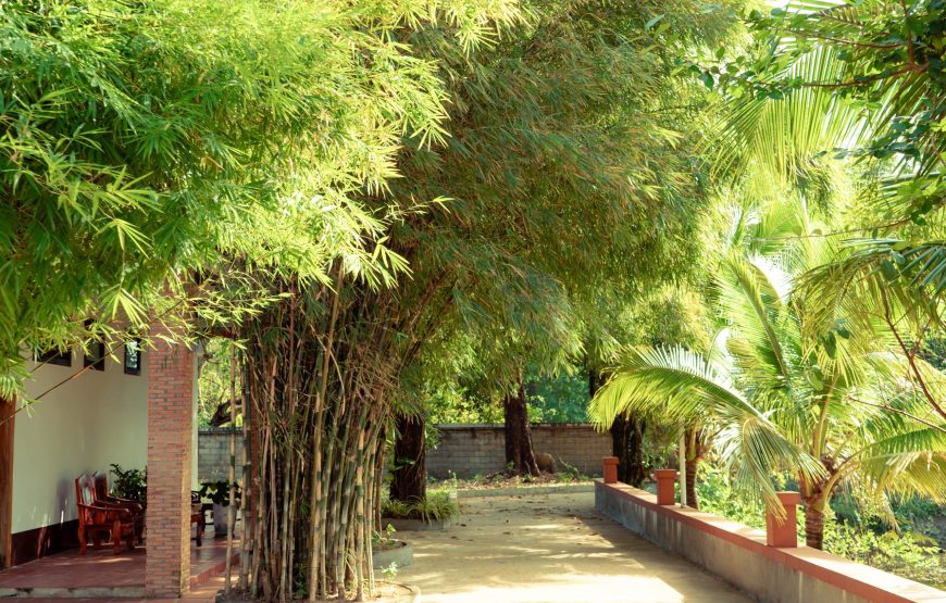 កុម្ភៈរ័ត្ន បឹងហ្គាឡូ – Kampheak Roath Bungalows
