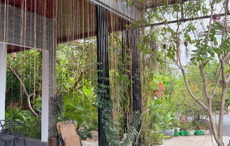 ផ្ទះវីឡាឯកជន-Kampot Flower