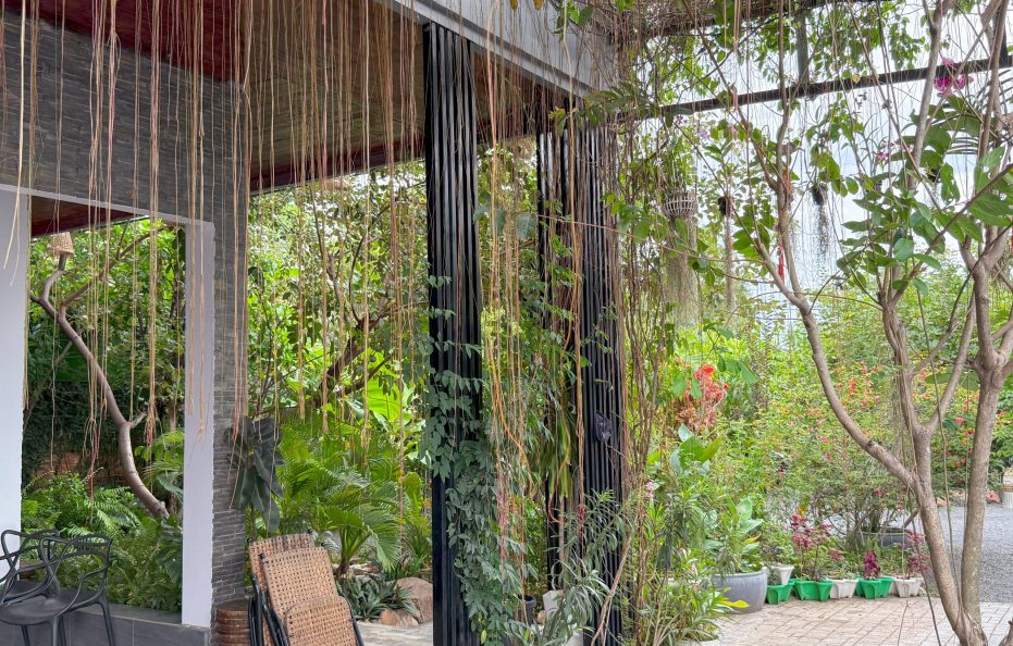 ផ្ទះវីឡាឯកជន-Kampot Flower