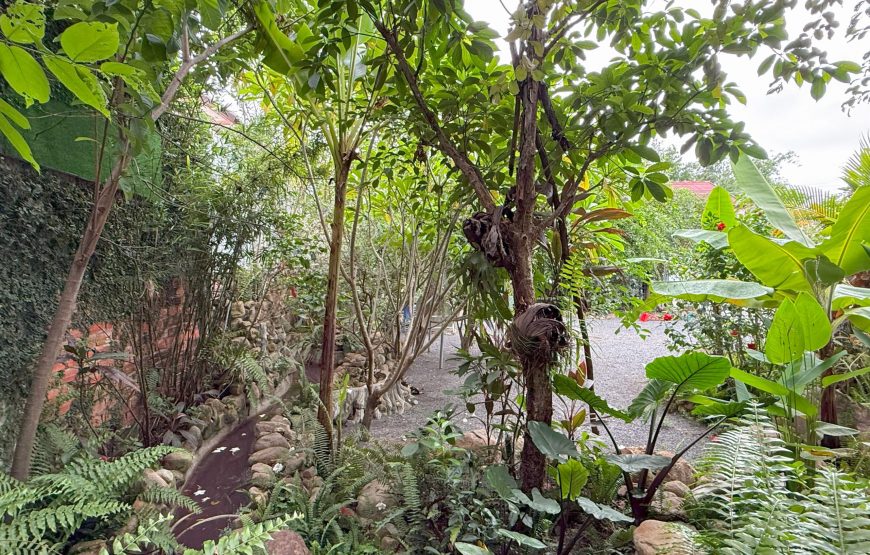 ផ្ទះវីឡាឯកជន-Kampot Flower