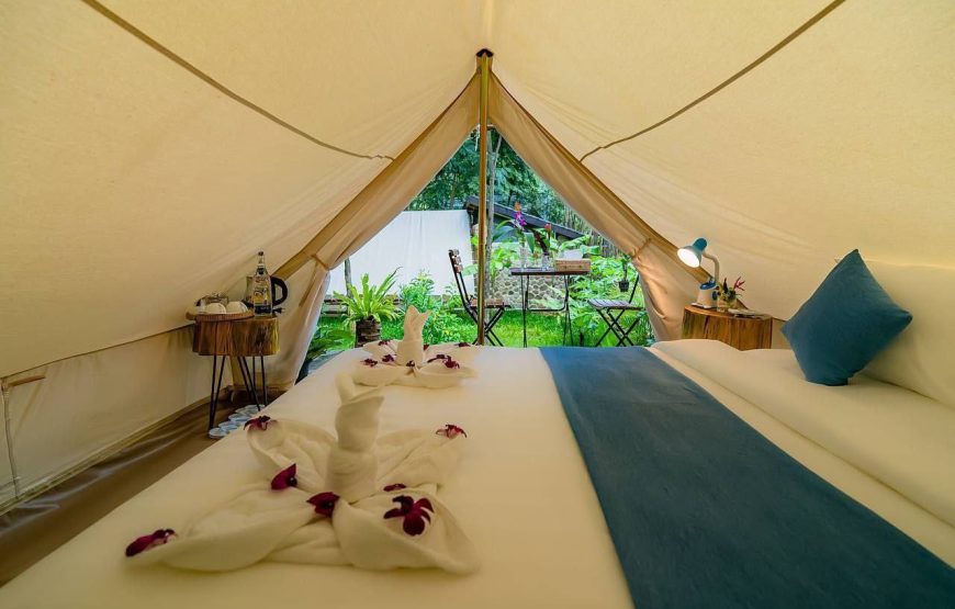 VIP Camping Garden View
