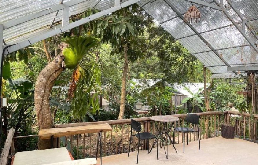 VIP Camping Garden View