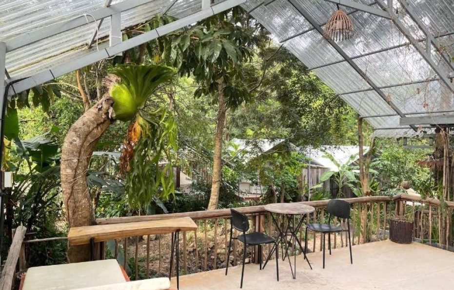 VIP Camping Garden View