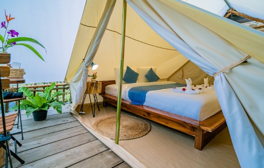 VIP Camping Garden View