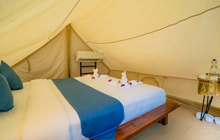VIP Camping Garden View