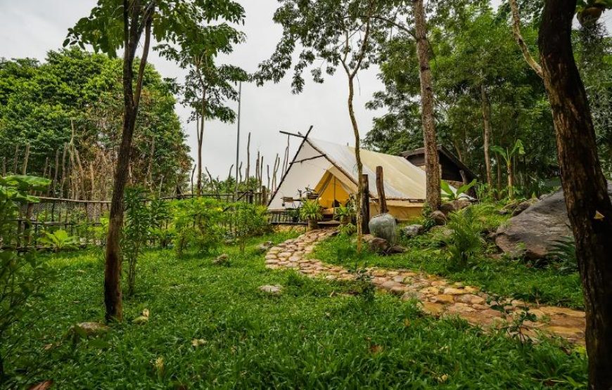 VIP Camping Garden View