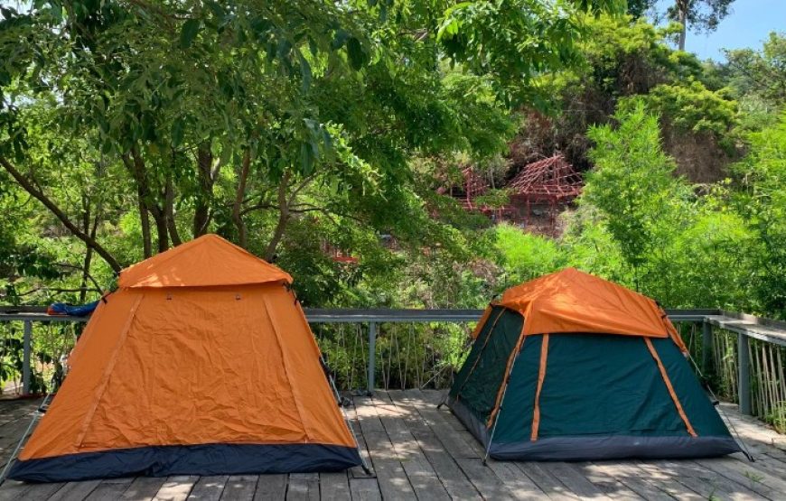 Single Tent VIP