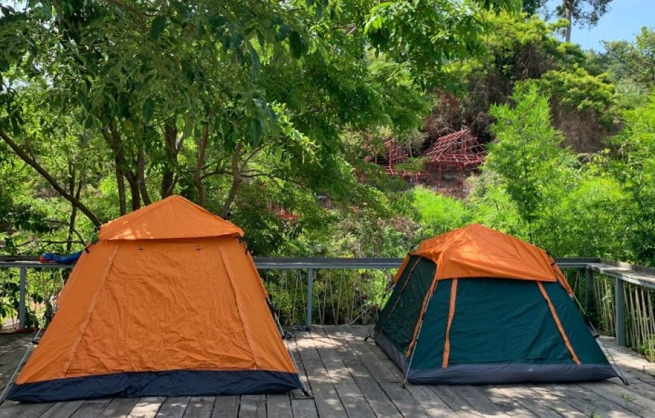 Single Tent VIP