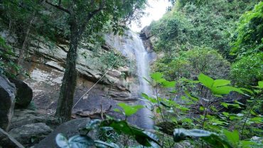 Veal Pouch Waterfall