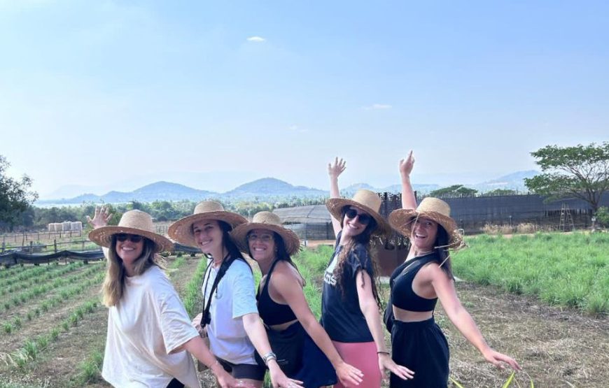 Kampot Countryside Tour afternoon Trip